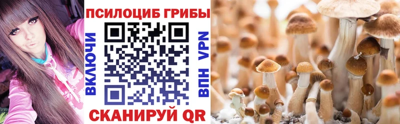 blacksprut онион  сколько стоит  Бабаево  Галлюциногенные грибы MAGIC MUSHROOMS 